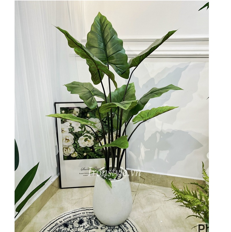 Cây khoai môn nước giả kèm chậu cao 1m6